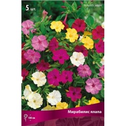 Мирабилис Смесь ялапа 5шт (Поиск)
