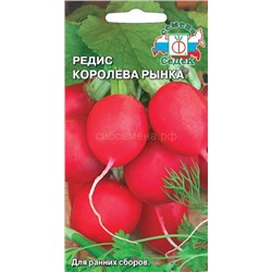 Редис Королева рынка (Седек)