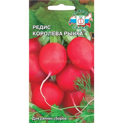 Редис Королева рынка (Седек)