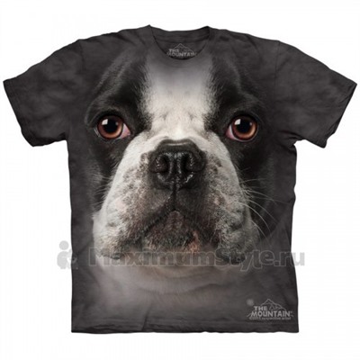 Футболка The Mountain "French Bulldog Face" (детская)