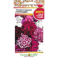 Гвоздика Турецкая Голландия смесь (НК)