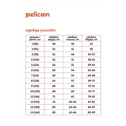 Брюки PELICAN #1032742