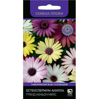 Остеоспермум Акилла Гранд Каньон Микс (Код: 91542)