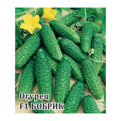 Огурец БОБРИК F1 (Гавриш) 100шт с/о