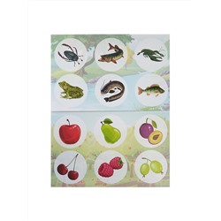 Обучающее лото для детей «Лето в деревне» с пластиковыми фишками