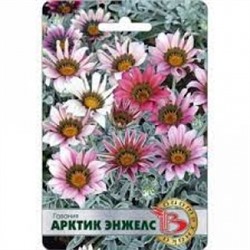 Цв.Гацания Арктик Энжелс (Био) 7шт