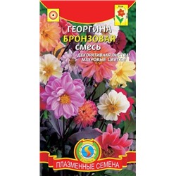 Цв.Георгина Бронзовая смесь (Плазма) 12шт