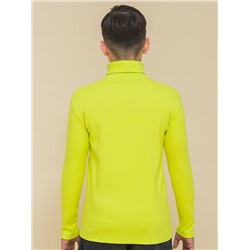 BFJS3335U (Джемпер для мальчика, Pelican Outlet )