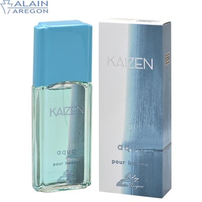 KAIZEN AQUA 95мл /муж. M~