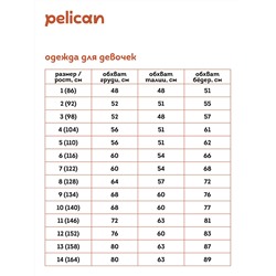 GFJS3337 (Джемпер для девочки, Pelican Outlet )