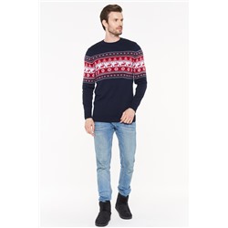 Джемпер мужской 202-12209