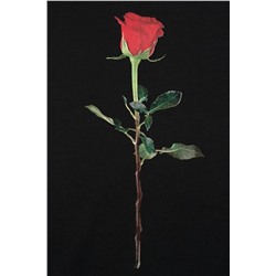 футболка 
            53.01-ЖДФК263804-07