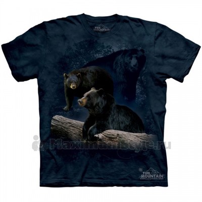 Футболка The Mountain "Black Bear Trilogy" (детская)