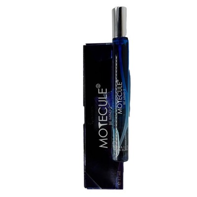 Духи-ручка 17ml MOTECULE BE MIND 2 edp M~