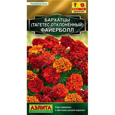 Бархатцы Файерболл отклон. (Аэлита)
