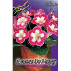 Глоксиния Бланш Де Меру 2шт (ИС)