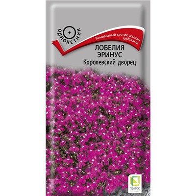 Лобелия Королевский дворец (П)