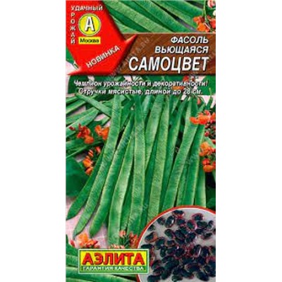 Фасоль Самоцвет (Аэлита) 5г