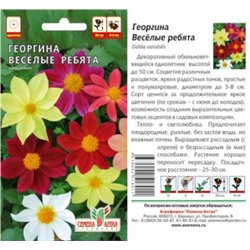 Цв.Георгина Веселые Ребята смесь (Сем.Алтая) 0,2г