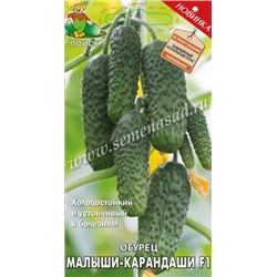 Огурец Малыши-карандаши F1 (Поиск) 12шт.