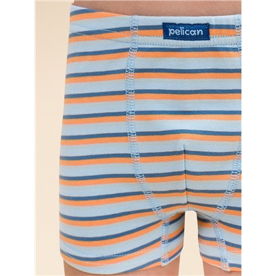 BUHB3352(2) (Трусы для мальчика 2 шт., Pelican Outlet )