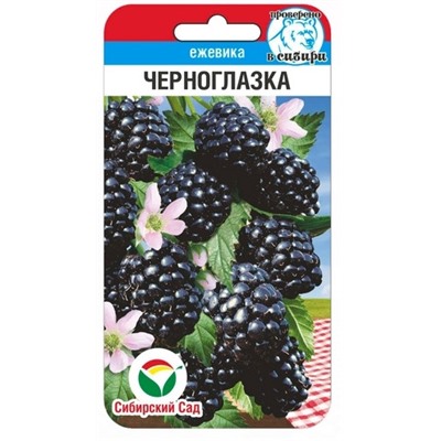 Ежевика Черноглазка Сиб.Сад