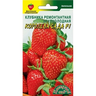 Клубника Королева Сада (Цв.Сад) 7шт