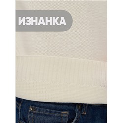 Джемпер мужской 5242-12391