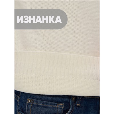 Джемпер мужской 5242-12391