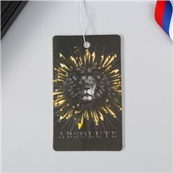Ароматизатор бумажный Absolute, 8 х 15.3 см