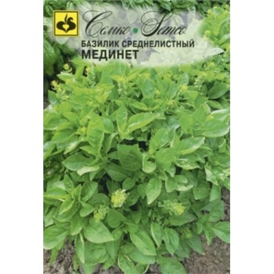 Базилик Мединет средний (Семко) 1г