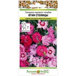 Цв.Гвоздика Огни Столицы  серовато-голубая (НК) 5шт