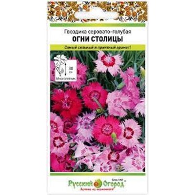 Цв.Гвоздика Огни Столицы  серовато-голубая (НК) 5шт