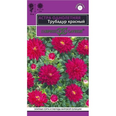 Астра Трубадур красный (Код: 90664)