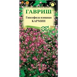 Гипсофила изящная, Кармин (Гавр)