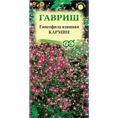 Гипсофила изящная, Кармин (Гавр)