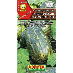 Тыква Грибовская кустовая 189 (Аэлита)