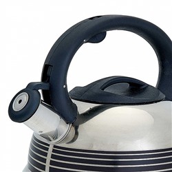 Чайник со свистком 3 л BE-0523, рисунок меняет цвет при нагревании