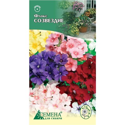 Флокс Созвездие смесь, 0,2г (цв.)