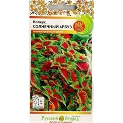 Цв.Колеус Солнечный Арбуз (НК) 3шт