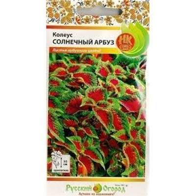 Цв.Колеус Солнечный Арбуз (НК) 3шт