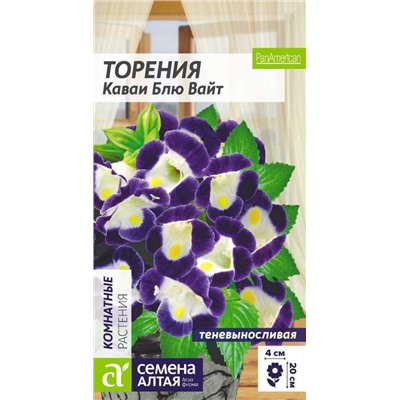Торения Каваи Блю Вайт комнатная