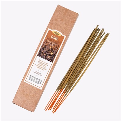 CLOVE Flora Incense Sticks, AASHA, SYNAA (Ароматические палочки ГВОЗДИКА, ААША, СИНАЯ), 10 палочек.