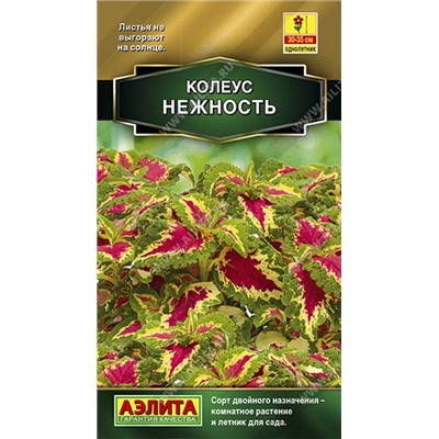 Колеус Нежность (Аэлита)
