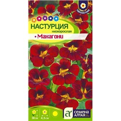 Настурция Махагони низкор. (Алтай)