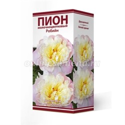 Пион Робийн 1шт (Поиск)