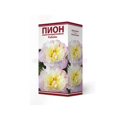 Пион Робийн 1шт (Поиск)