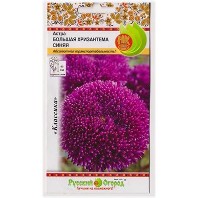 Астра Большая Хризантема синяя (Код: 80163)