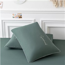 Комплект постельного белья Однотонный Сатин Вышивка CH046