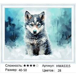 AM45 HWA5315, 40х50 см